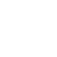 volant-de-voiture